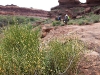 Cataract Canyon River Running